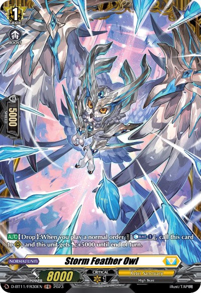 Storm Feather Owl (D-BT11/FR30EN) [Clash of Heroes]